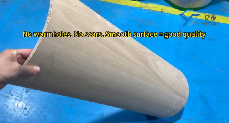 Step 1 Inspect the Rotary Die Board Surface